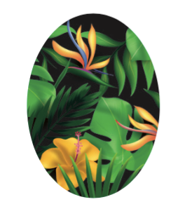 Boucles ovales collection "Tropicale"