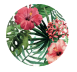 Boucles d'oreilles collection "Tropicale"